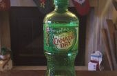13 utilisations inhabituelles pour Canada Dry Ginger Ale