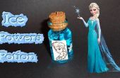 Disneys miniature congelés charme bouteille