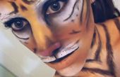 Demande : Transformation de maquillage tigre