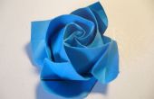 Origami Rose en fleurs