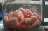 Crevettes cuites décongelés dans le pot de café