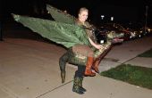 Targaryen Dragonlord Costume