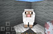 Méditation de moutons dans Minecraft ! 