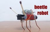 Comment faire un robot insecte