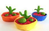 Jardin de Cactus d’argile
