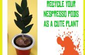 Plante en Pot Nespresso Pod