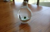 Aquarium d’ampoule upcycled marimo ball