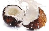 Consommer une noix de coco entière: 9 produits - zéro déchet ! 