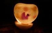 Jour fleur pétale Embedded coeur luminaires Valentin: un cadeau parfait