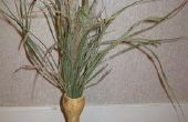 Utilisez des courges séchées comme Vases pour herbes séchées