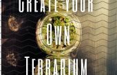 Créer votre propre Terrarium