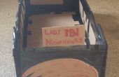 Bateau en carton : Lady Nighthawks