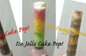 BRICOLAGE de glace gâteau Push pop ! Variations délicieuses!!! 