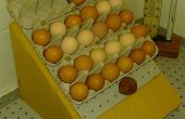 Pré-incubation Egg Turner