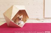 Maison moderne bricolage géométrique Doghouse