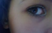 Argent/noir simple des yeux maquillage:)