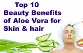 Top 10 prestations de beauté de l’Aloe Vera pour la peau & cheveux