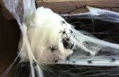 Spooky Spider nid de délices arachnophobe ! 
