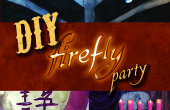 Partie de bricolage Firefly