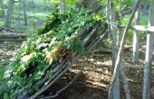 Comment créer un abri adossé à la forêt de feuillus