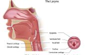 Comment soigner une laryngite par crédibles remèdes à la maison