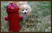 Little Doggie Potty