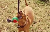 T Shirt chien jouet avec ballon