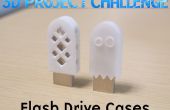 3D projet défi : Flash Drive cas