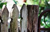 Sauver votre clôture en bois de mildiou