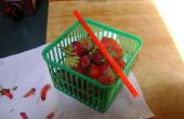 Décortiqueuse de fraises
