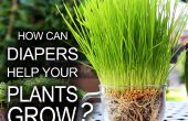 Aide que vos plantes poussent les couches ! 