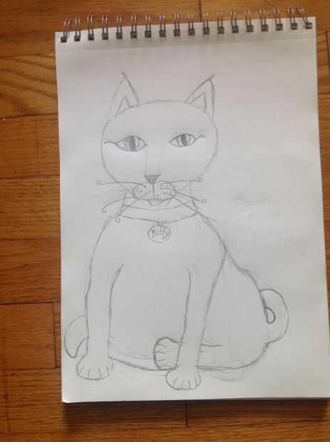 Comment Dessiner Un Chat Gras étape 9 Tubefrcom