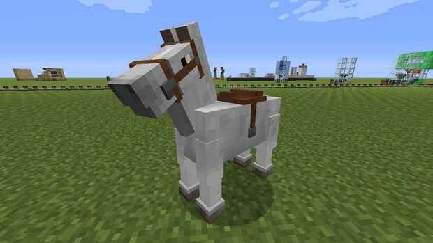 Comment Apprivoiser Un Cheval Dans Minecraft Xbox Tubefr Com