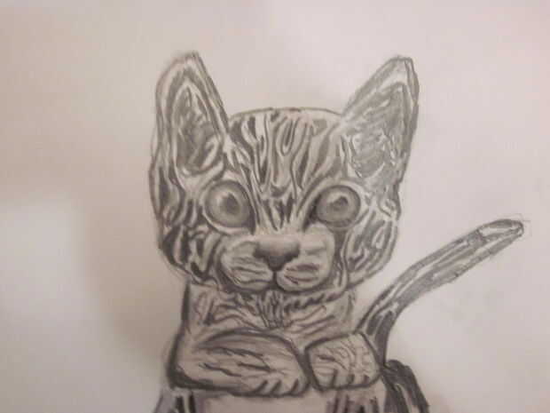 Chaton Dessin Crayon Tubefr Com