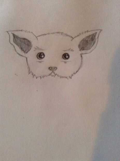 Comment Dessiner Un Chien Adorable Tubefrcom