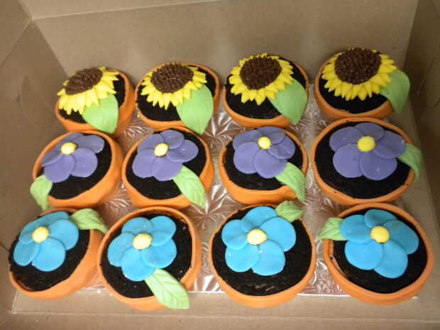 Cupcakes De Pot De Fleurs Tubefr Com