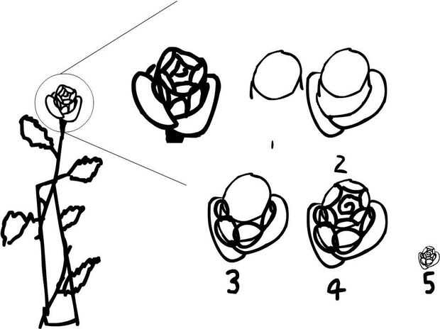 Comment Dessiner Des Fleurs étape 2 Roses Tubefrcom